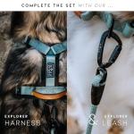 Premium Adjustable Nylon Dog Collar - Colorado Nightsky