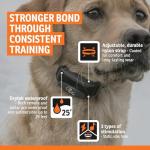 SportDOG FieldTrainer 425X - Remote Trainer Designed for Off-Leash Control & Training - 500-Yard Range - Waterproof - Quick Charge-Collar with 21 Levels of Static, Tone, & Vibration