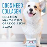 The Missing Link Collagen Care Skin & Coat Soft Chews 60ct - Daily Hair Growth, Healthy Skin & Strong Nails Support for Dogs