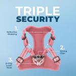 Best Pet Supplies Voyager Adjustable Step-in Flex Breathable Mesh Dog Harness for Small Medium Large Dogs Leash Set (Pink), S