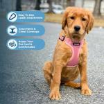 Best Pet Supplies Voyager Adjustable Step-in Flex Breathable Mesh Dog Harness for Small Medium Large Dogs Leash Set (Pink), S