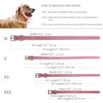 Pink Rhinestone Small Dog Collars for Female Dogs, Pretty Bling Diamond Cat Collar Crystal Sparkly Glitter Jewel Puppy Collar for XXS Xs Small Medium Pet Girl Dogs Kitten, XSmall