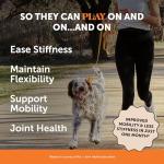 Pet Honesty Hip & Joint Health - Soft Chews for Dogs, Joint Supplement with Glucosamine Chondroitin, MSM, Turmeric, Joint Support + Mobility, May Reduce Occasional Discomfort (Bacon 90 Count)