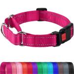 Joytale Martingale Collar for Dogs, Reflective Heavy Duty for Safety, Quick Release Buckle, Adjustable Nylon Collars for Medium Dogs Walking Training, Hotpink,M