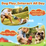 PatsFran Dog Toys for Aggressive Chewers, 2 Pack No Stuffing Squeaky Dog Toys to Keep Them Busy, Interactive Puppy Toys with Crinkle and Holds a Bottle