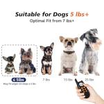 Tiniest Dog Shock Collar, Lightest Dog Training Collar with Remote for Small Dogs 5-15lbs & Medium Large Dogs/Puppies, Waterproof, Rechargeable, 1300ft Range (Orange&Ultra Tiny)