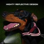 Joytale Martingale Collar for Dogs, Reflective Heavy Duty for Safety, Quick Release Buckle, Adjustable Nylon Collars for Medium Dogs Walking Training, Hotpink,M