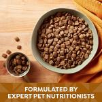 Nature’s Recipe Lamb & Brown Rice Dog Food 24lb