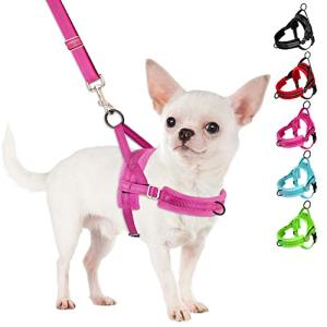 SlowTon No Pull Small Dog Harness and Leash Set, Puppy Soft Vest Harness Neck & Chest Adjustable, Reflective Lightweight Harness & Anti-Twist Pet Lead Combo for Small Medium Dogs (Fuchsia, XS)