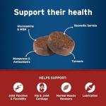 Pet Protect Dog Hip & Joint+ Supplement for Active & Aging Dogs, Vet-Formulated Synovi G4, Dog Glucosamine, Chicken-Flavored Soft Chews (60 Count)