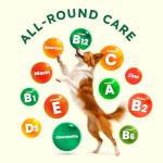 ZENO Dog Vitamins and Supplements - 150 Dog Multivitamin Chewable - Immune, Joint Support, Skin, Gut Health + Packed with Omega 3s, Glucosamine & Probiotics - Safe for Puppy - Chicken