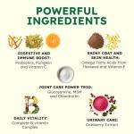 ZENO Dog Vitamins and Supplements - 150 Dog Multivitamin Chewable - Immune, Joint Support, Skin, Gut Health + Packed with Omega 3s, Glucosamine & Probiotics - Safe for Puppy - Chicken