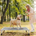 Veehoo Chew Proof Elevated Dog Bed - Cooling Raised Pet Cot - Silver Aluminum Frame and Durable Textilene Mesh Fabric, Unique Designed No-Slip Feet for Indoor or Outdoor Use, Grey, Large, CWC2003