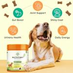 ZENO Dog Vitamins and Supplements - 150 Dog Multivitamin Chewable - Immune, Joint Support, Skin, Gut Health + Packed with Omega 3s, Glucosamine & Probiotics - Safe for Puppy - Chicken