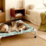 Elevated Dog Bed Portable Indoor & Outdoor Medium Sized Dog,Cooling Fabric,Hammock Bed with Cooling Fabric,Breathable Mesh