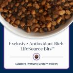 Blue Buffalo Basics Turkey Recipe Dry Dog Food