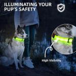 Super Bright LED Dog Collar - Fully Waterproof & Adjustable Glow Collar - USB-C Rechargeable for Night Walking, Safety - Flashing Lighted Collar for Dogs(Green,Medium)