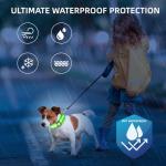 Super Bright LED Dog Collar - Fully Waterproof & Adjustable Glow Collar - USB-C Rechargeable for Night Walking, Safety - Flashing Lighted Collar for Dogs(Green,Medium)