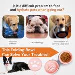 ABIXIEYQ Collapsible 2-in-1 Dog Bowls: Leakproof Double Silicone Food & Water Bowl for Travel, Camping, Hiking - Portable Cat & Dog Feeding Supplies (Pink)