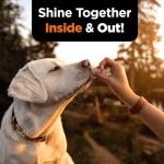 Nutri-Vet Skin & Coat Biscuits for Dogs, Tasty Dog Treat, Skin and Coat Supplement, Omega 3 Fish Oil, Made with Omega 3 and Biotin, Fish Oil Treat for Pets, Chicken & Krill Flavor, 16 oz