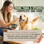 Pets are Kids 25-in-1 Dog Multivitamin - Pet Vitamins and Supplements with LBiome™, Colostrum & Salmon Oil for Gut, Allergy, Mobility & Immune Health - Bacon Flavored, Dog Supplements - 60 Chews