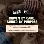 Pets are Kids 25-in-1 Dog Multivitamin - Pet Vitamins and Supplements with LBiome™, Colostrum & Salmon Oil for Gut, Allergy, Mobility & Immune Health - Bacon Flavored, Dog Supplements - 60 Chews