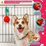 Fossa Interactive Dog Toys, Crate Training Aids for Puppies, Puzzle Treat Dispenser with Rope, Multifunctional Dog Toys - for Reduce Dog Boredom and Anxiety, Dog Teeth Cleaning and Chew Toy