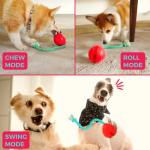 Fossa Interactive Dog Toys, Crate Training Aids for Puppies, Puzzle Treat Dispenser with Rope, Multifunctional Dog Toys - for Reduce Dog Boredom and Anxiety, Dog Teeth Cleaning and Chew Toy