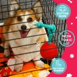 Fossa Interactive Dog Toys, Crate Training Aids for Puppies, Puzzle Treat Dispenser with Rope, Multifunctional Dog Toys - for Reduce Dog Boredom and Anxiety, Dog Teeth Cleaning and Chew Toy