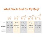 Amazon Basics Cooling Breathable Elevated Dog Bed with Metal Frame for Large Dogs, 51" x 31" x 8", Green, Easy to Assemble