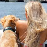 Black Rhino Dog Collars for Medium Dogs - Adjustable Reflective Heavy Duty Dog Collar with Ultra-Soft Neoprene Padding - Weatherproof, Durable, and Comfortable - Ideal for Active Dogs - Aqua and Gray