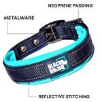 Black Rhino Dog Collars for Medium Dogs - Adjustable Reflective Heavy Duty Dog Collar with Ultra-Soft Neoprene Padding - Weatherproof, Durable, and Comfortable - Ideal for Active Dogs - Aqua and Gray