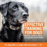 SportDOG YardTrainer 300 Remote Trainer - Off-Leash Safety Tool - Quick-Charge - Waterproof DryTek Technology - Compact E-Collar - Remote Dog Collar - 300-Yard Range