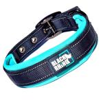 Black Rhino Dog Collars for Medium Dogs - Adjustable Reflective Heavy Duty Dog Collar with Ultra-Soft Neoprene Padding - Weatherproof, Durable, and Comfortable - Ideal for Active Dogs - Aqua and Gray