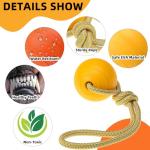 PUPTECK Dog Pool Floating Toys - 2 Pack Fetch Balls on a Rope Toys for Medium Large Dogs, EVA Durable Rubber Water Pet Interactive Toys, for Summer Beach Outdoor Throw Training Retrieving Play