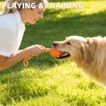 PUPTECK Dog Pool Floating Toys - 2 Pack Fetch Balls on a Rope Toys for Medium Large Dogs, EVA Durable Rubber Water Pet Interactive Toys, for Summer Beach Outdoor Throw Training Retrieving Play