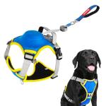 paatata No Pull Dog Harness, 2 in 1 Retractable Harness with Auto-Lock, Reflective Breathable Mesh and Handle, Adjustable Leash Set for Small, Medium,Large Dogs,Cats (Color 2, XL)