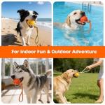 PUPTECK Dog Pool Floating Toys - 2 Pack Fetch Balls on a Rope Toys for Medium Large Dogs, EVA Durable Rubber Water Pet Interactive Toys, for Summer Beach Outdoor Throw Training Retrieving Play