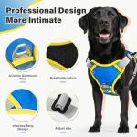 paatata No Pull Dog Harness, 2 in 1 Retractable Harness with Auto-Lock, Reflective Breathable Mesh and Handle, Adjustable Leash Set for Small, Medium,Large Dogs,Cats (Color 2, XL)