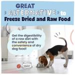 Pawstruck Air Dried Dog Food with Real Beef, Grain-Free, Made in USA, Non-GMO & Vet Recommended, High Protein Limited Ingredient Full-Feed for All Breeds & Ages, 2lb Bag