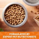 Nature′s Recipe Chicken, Barley & Brown Rice Recipe Dry Dog Food, 24 lb. Bag