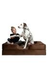 NOAH & PAW XL Dog Bed, 45x35x11 Inch, Orthopedic Large Dog Beds, Eggshell Memory Foam Infused with Cooling Gel, Inner Cover, Waterproof, Machine Washable (Velvet Sofa Collection)