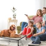 Veehoo Chewproof Elevated Dog Bed - Cooling Raised Pet Cot, Breathable Mesh, Washable & Non-Slip for Large Dogs, Indoor/Outdoor, Beige Coffee Mat and Black Frame, 42x30inches (Model CWC2203A03)