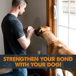 Mighty Paw Smart Bell 2.0 – Potty Training Button for Dogs & Puppies – Train Your Dog to Ring The Bell – Wireless Pet Communication (2 Button Pack)