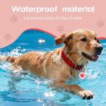 2026 Now GPS Tracker for Pet, No Monthly Fee & No SIM Card Needed | Real-Time Tracking for Dogs, Cats & Small Animals | Lightweight Design | Long Battery Life | Compatible with iPhone & Android