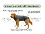 Dog Recovery Suit After Surgery – Generous Fit (See Size Guide) – Surgery Suit for Female Spay & Male Neuter with Washable Pads, Cone Alternative Body Suit for Comfortable Healing, Medium, Grey
