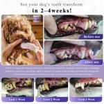 TTsiya Dog Dental Cleaning Powder - Probiotic Dental Care freshens Breath, Controls Plaque, and removes Tartar.for All Dog Breeds.100g