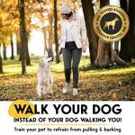 PetJett Prong Collar for Dogs - Adjustable Dog Training Collar No Pull Choke Collar for Dogs Pinch Collar for Dog Walking Tool for Small Medium, or Large Breed - Stainless Steel Metal Choker Chain