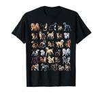 Types Of Dogs Breeds Chart Educational Canine Enthusiast T-Shirt