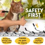 PetJett Prong Collar for Dogs - Adjustable Dog Training Collar No Pull Choke Collar for Dogs Pinch Collar for Dog Walking Tool for Small Medium, or Large Breed - Stainless Steel Metal Choker Chain